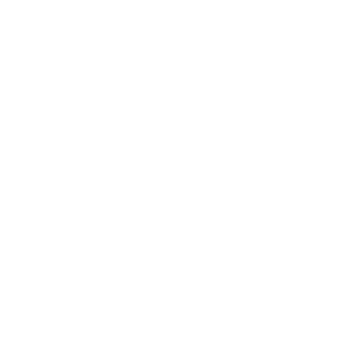 Site Favicon